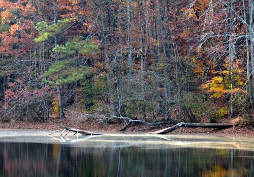 Uncovering the Hidden Gems of Cobb County, Georgia