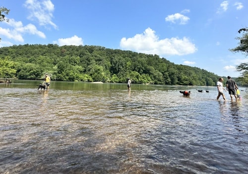 Discovering the Hidden Beauty of Cobb County, Georgia